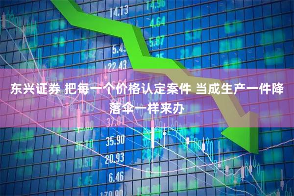 东兴证券 把每一个价格认定案件 当成生产一件降落伞一样来办