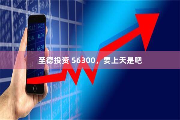 至德投资 56300，要上天是吧